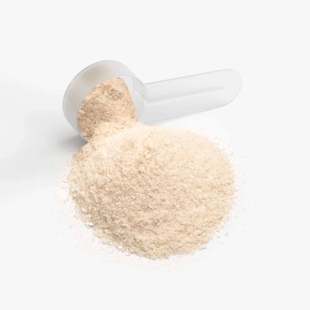 Intra-Game Hydration Powder (Lemonade)